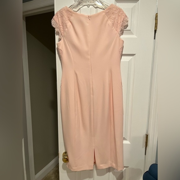 Nordstrom Maggy London Blush Dress with Lace (wedding/cocktail) size 6 - Picture 3 of 4